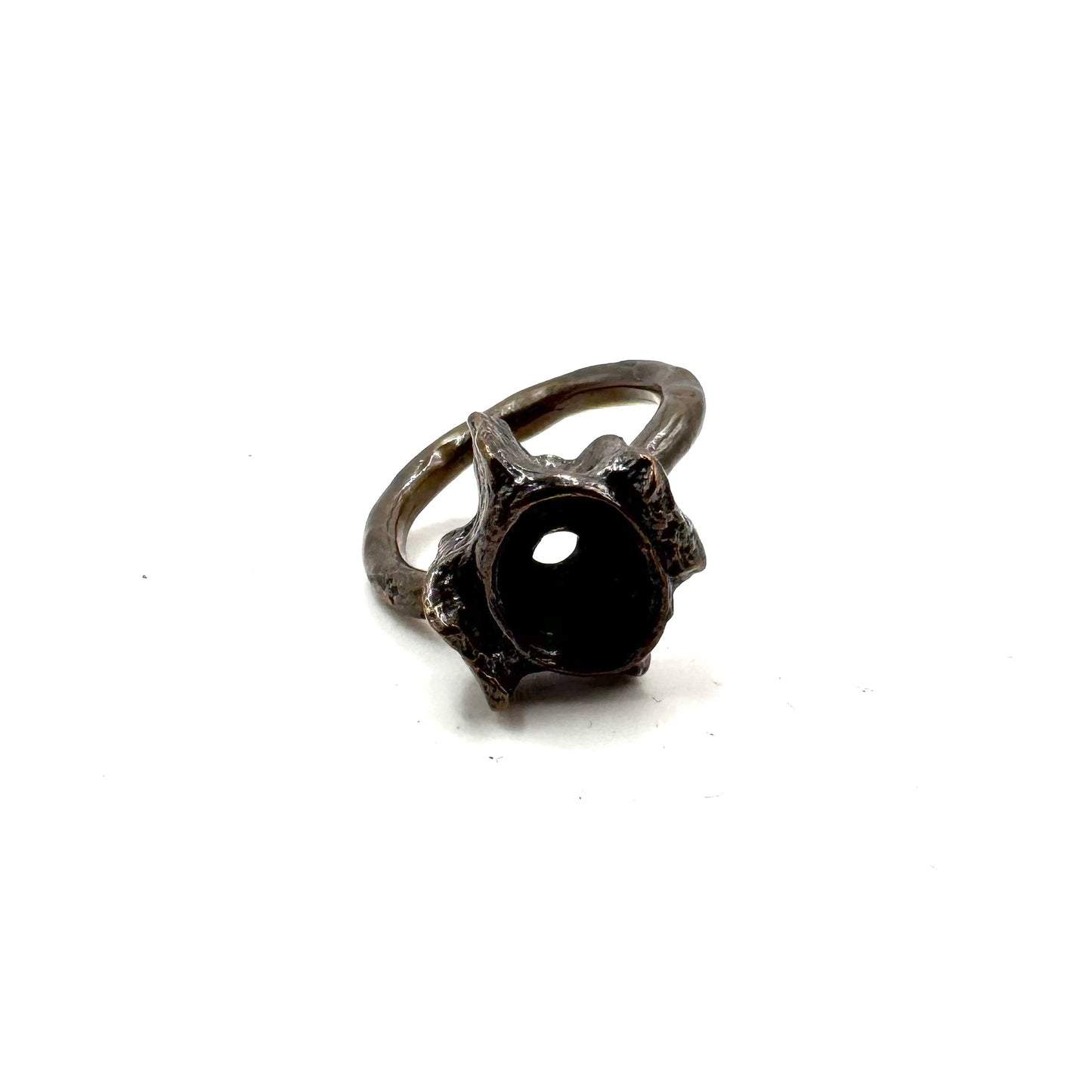 Shark vertebrae Modern Ring in Bronze
