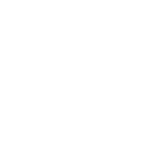 Julian The 2nd logo