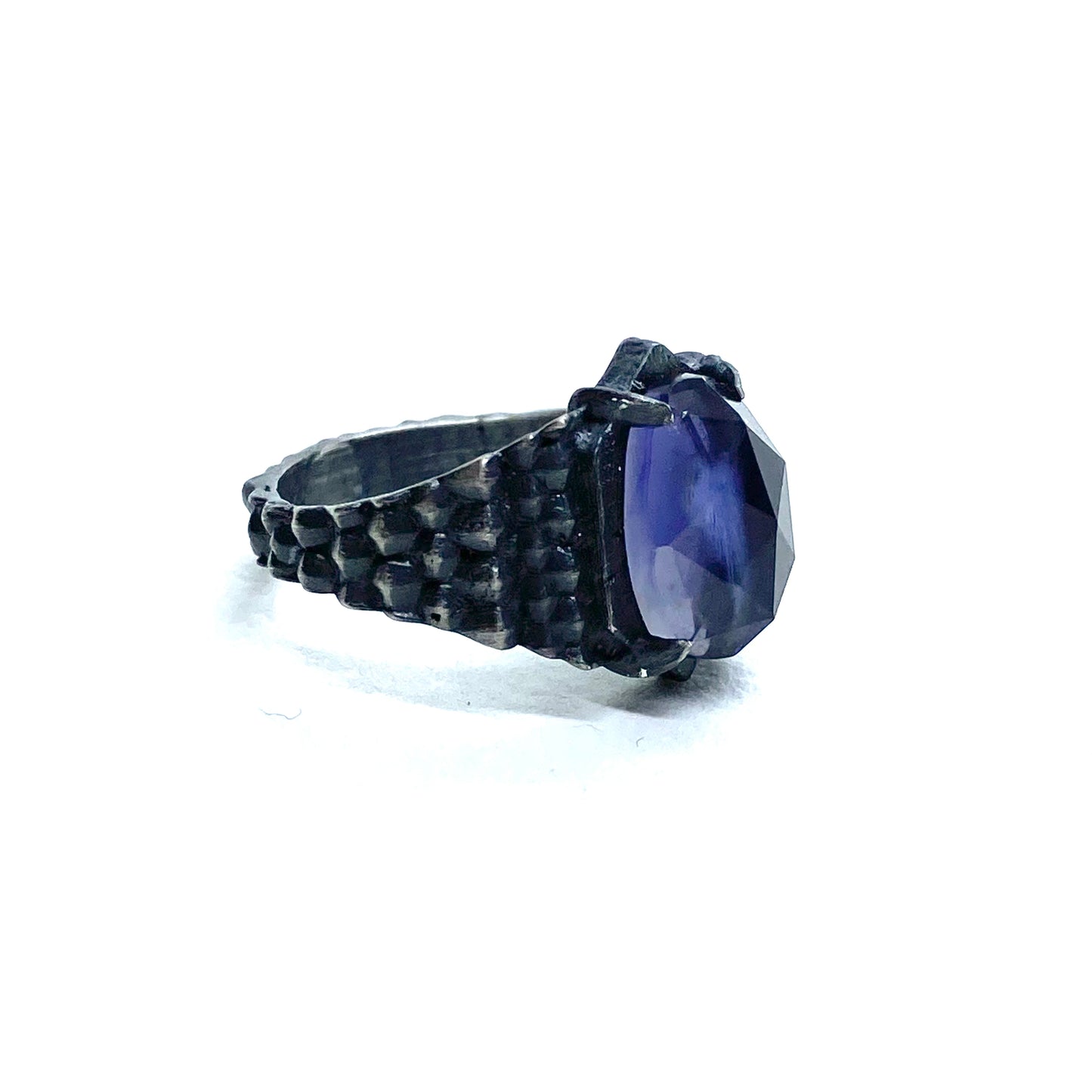 Dragon’s Claw with Iolite in Sterling Silver