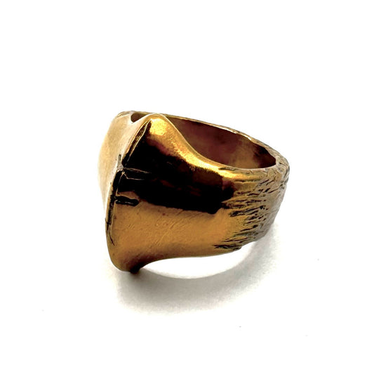Executioner’s Ring in Bronze