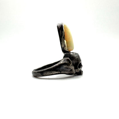 Ancient Tooth Ring in Sterling Silver