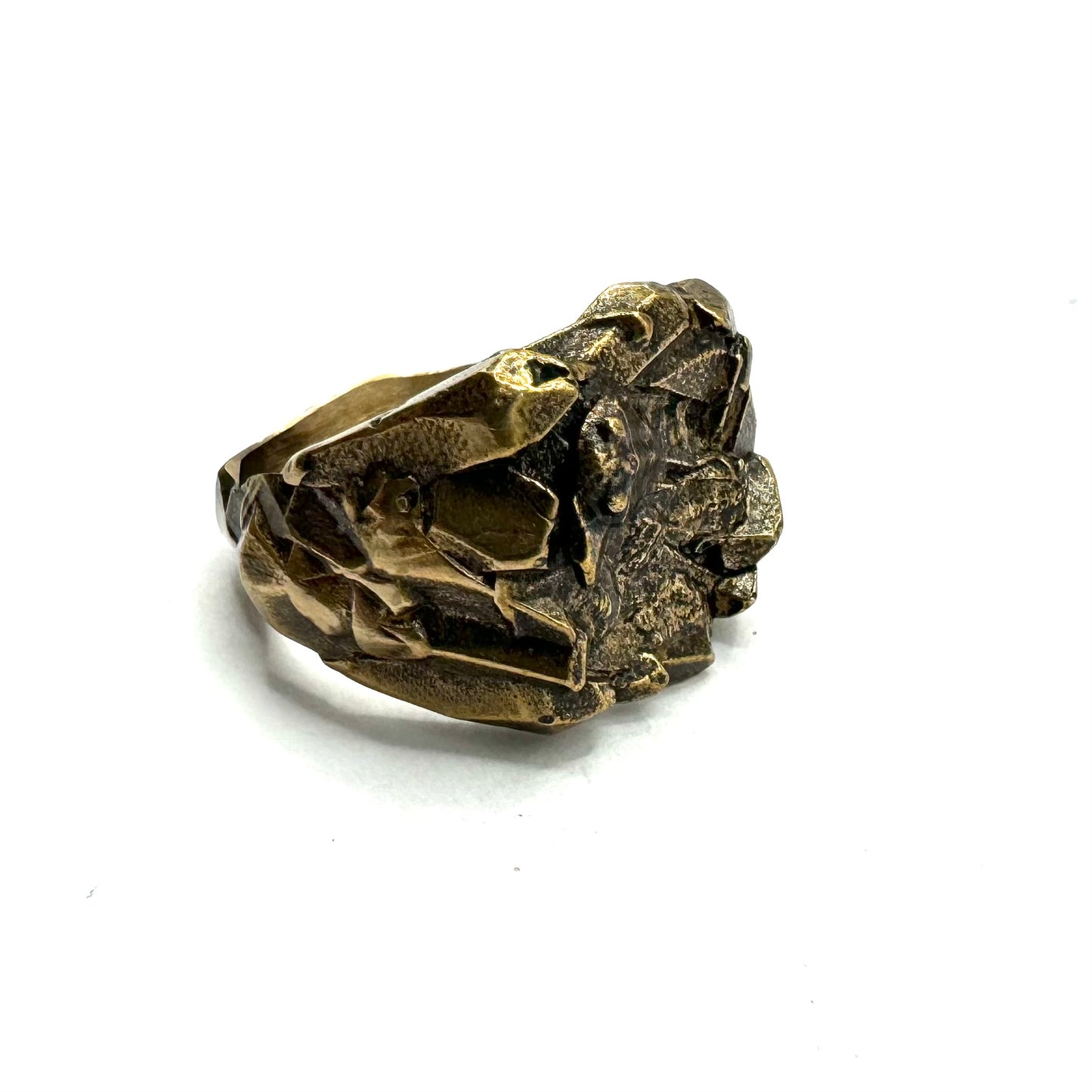 Trilobite Ring in Bronze