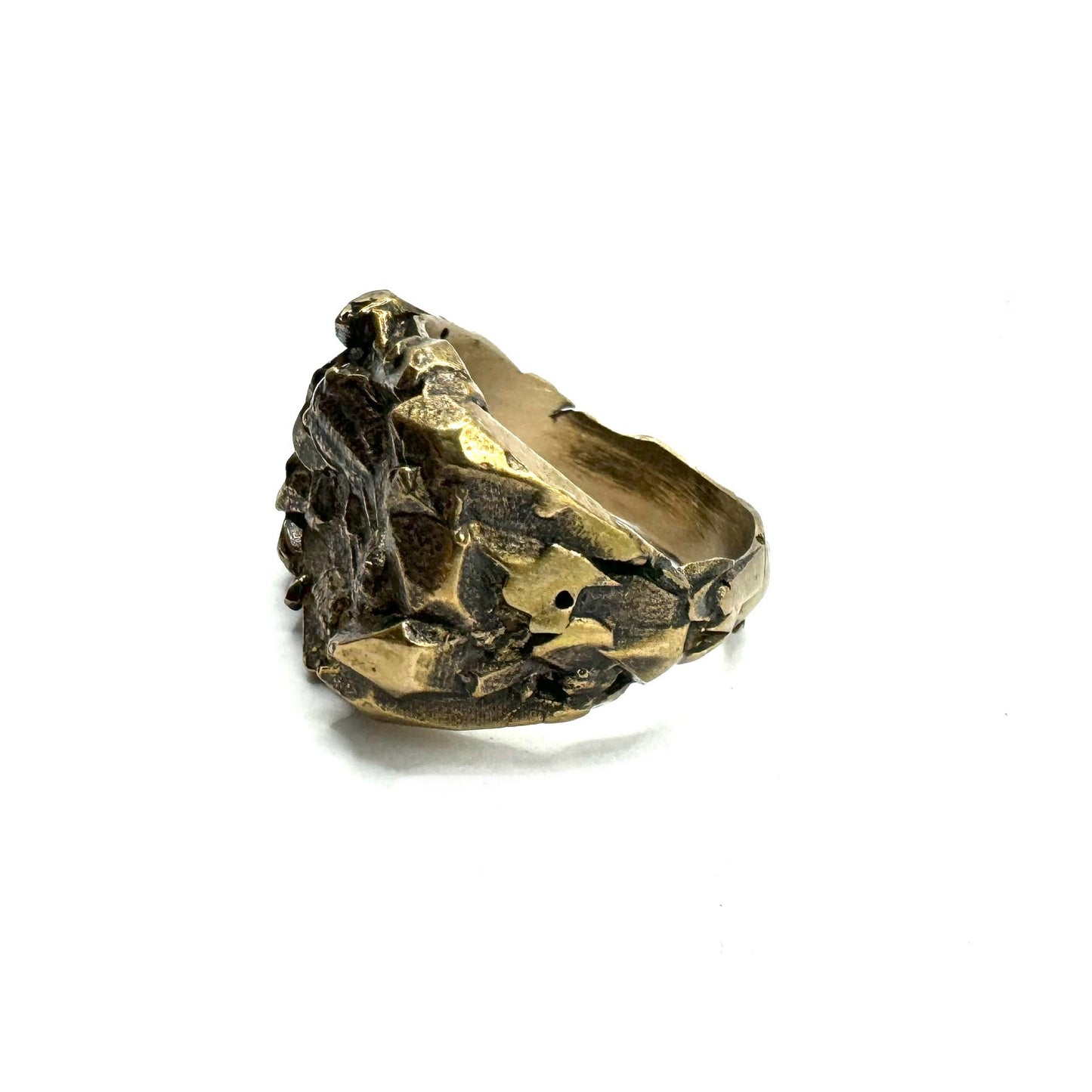 Trilobite Ring in Bronze