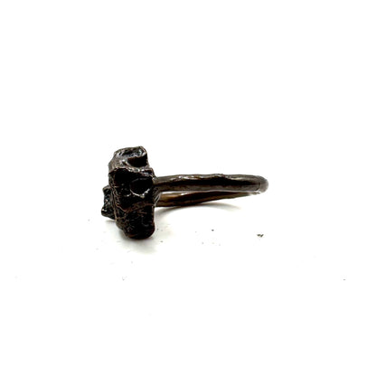 Shark vertebrae Modern Ring in Bronze