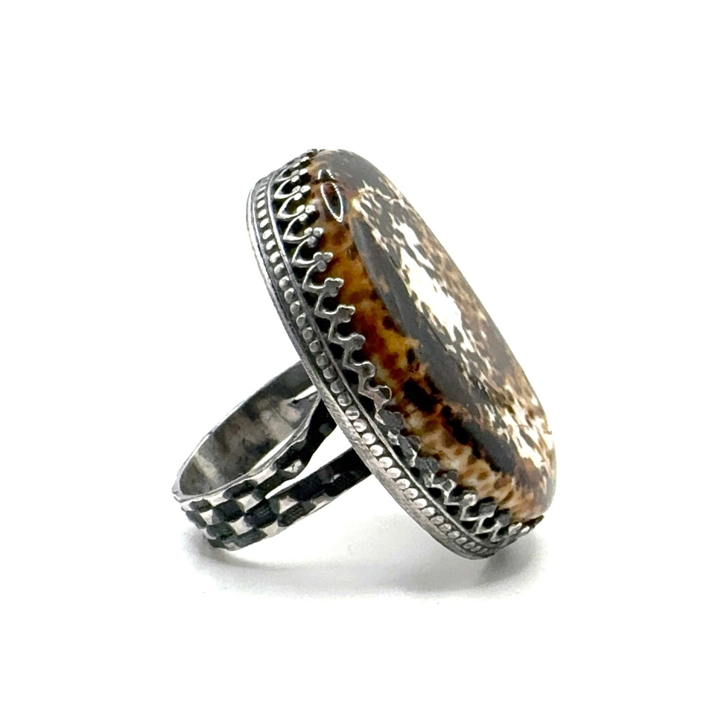 Ring of the Mage Set with Fossilized Mammoth Bone in Sterling Silver Ring