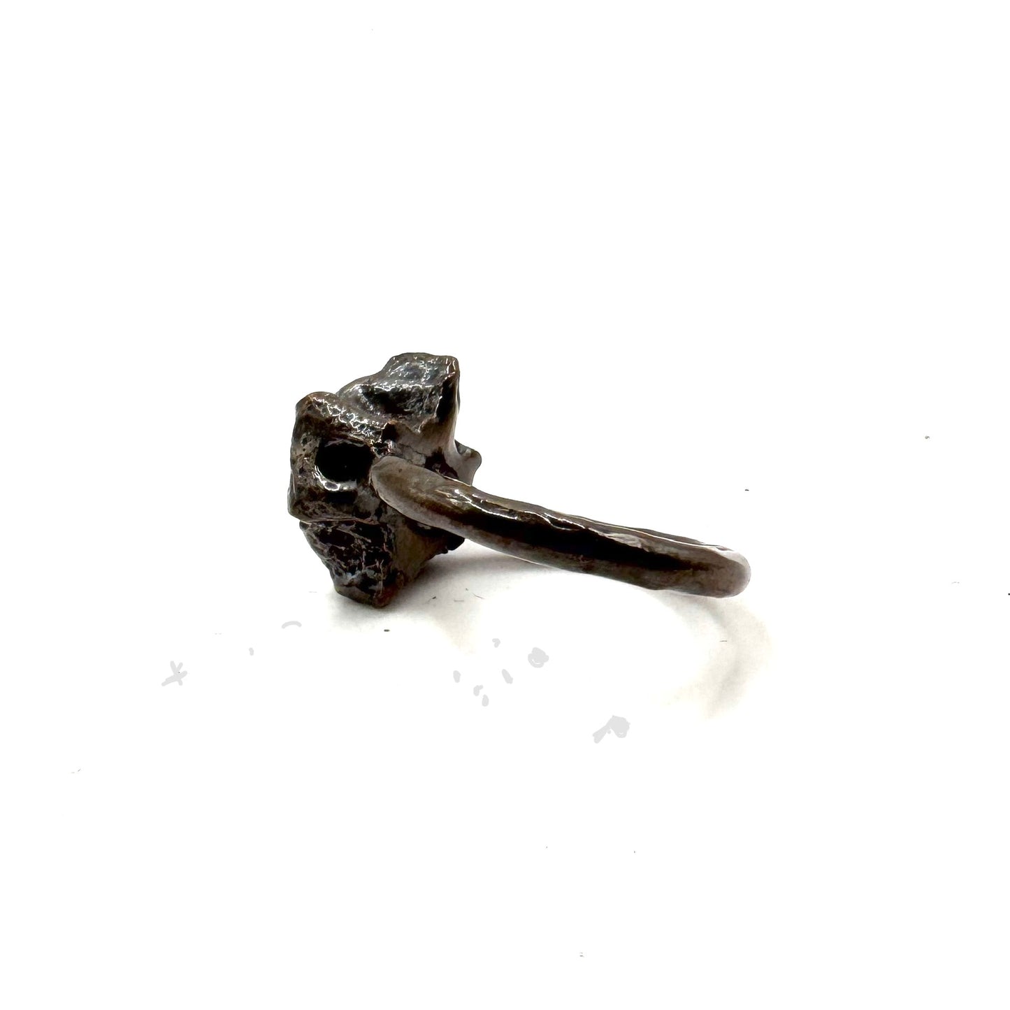 Shark vertebrae Modern Ring in Bronze