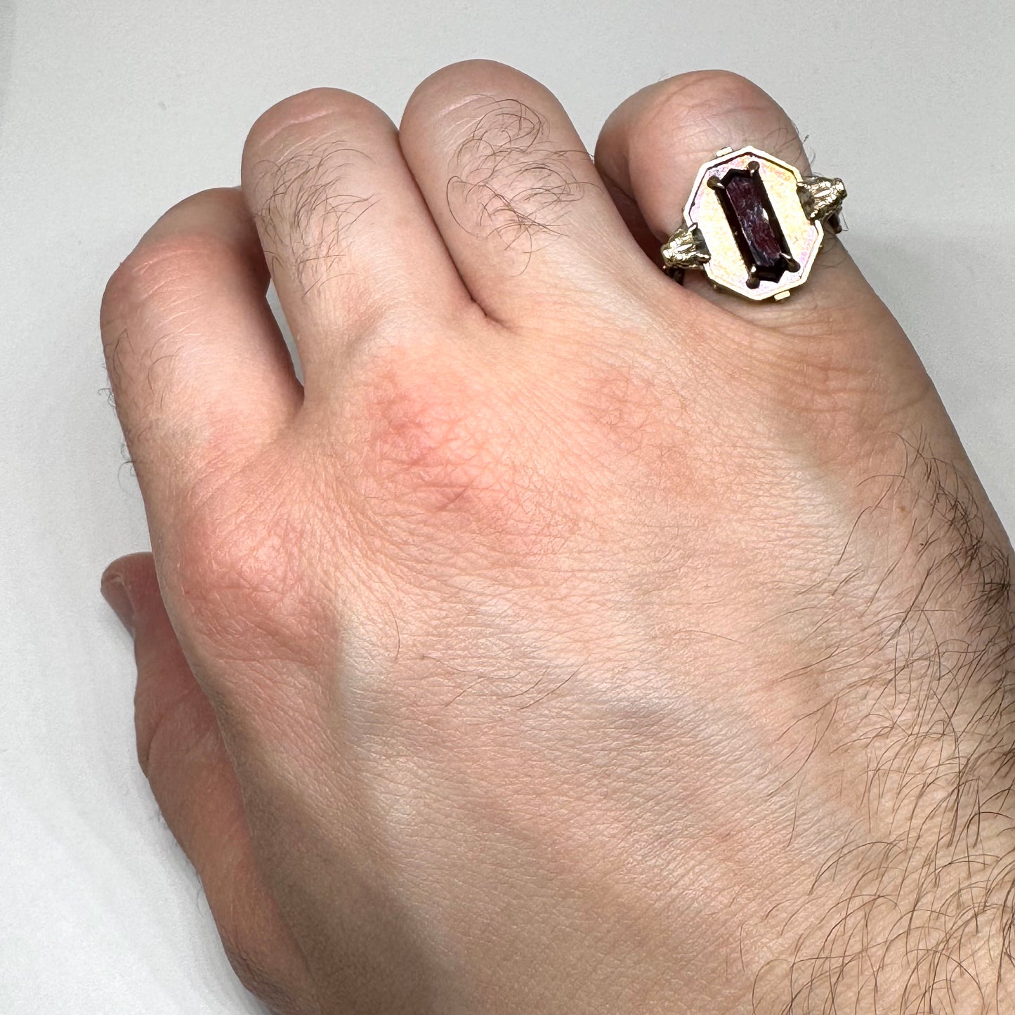 Citadel Ring With Garnet Tablet in Bronze