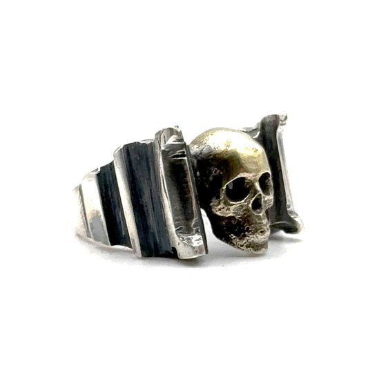 Skull Ring in Sterling Silver and bronze