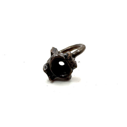 Shark vertebrae Modern Ring in Bronze