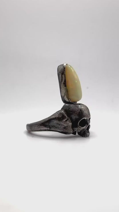 Ancient Tooth Ring in Sterling Silver