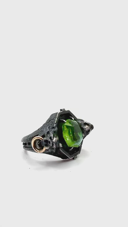 Bridewell Stone Sanctum Ring in Sterling Silver